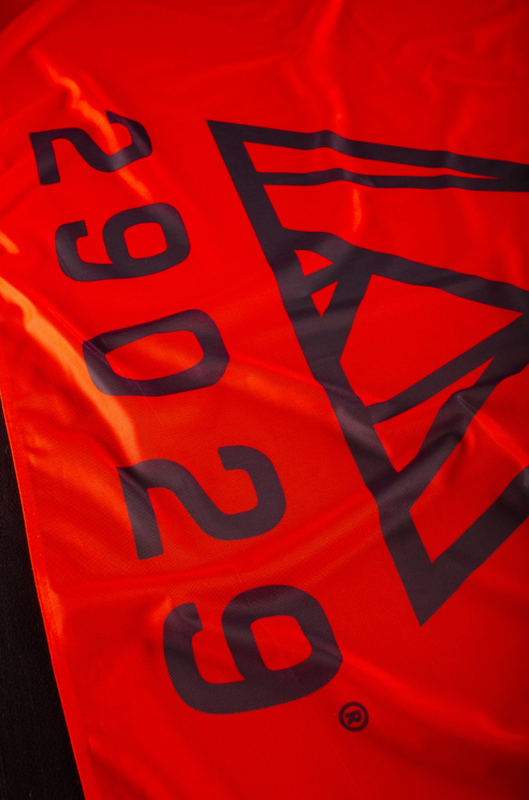 29029 Flag