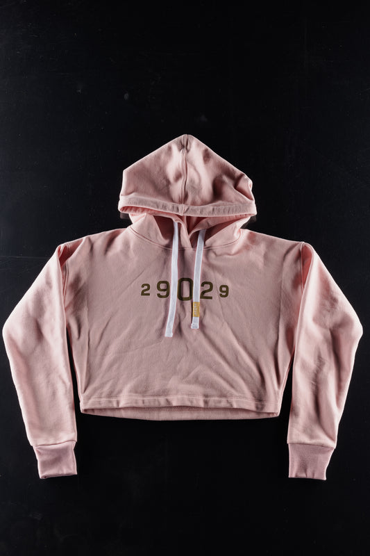 High Altitude Cropped Hoodie